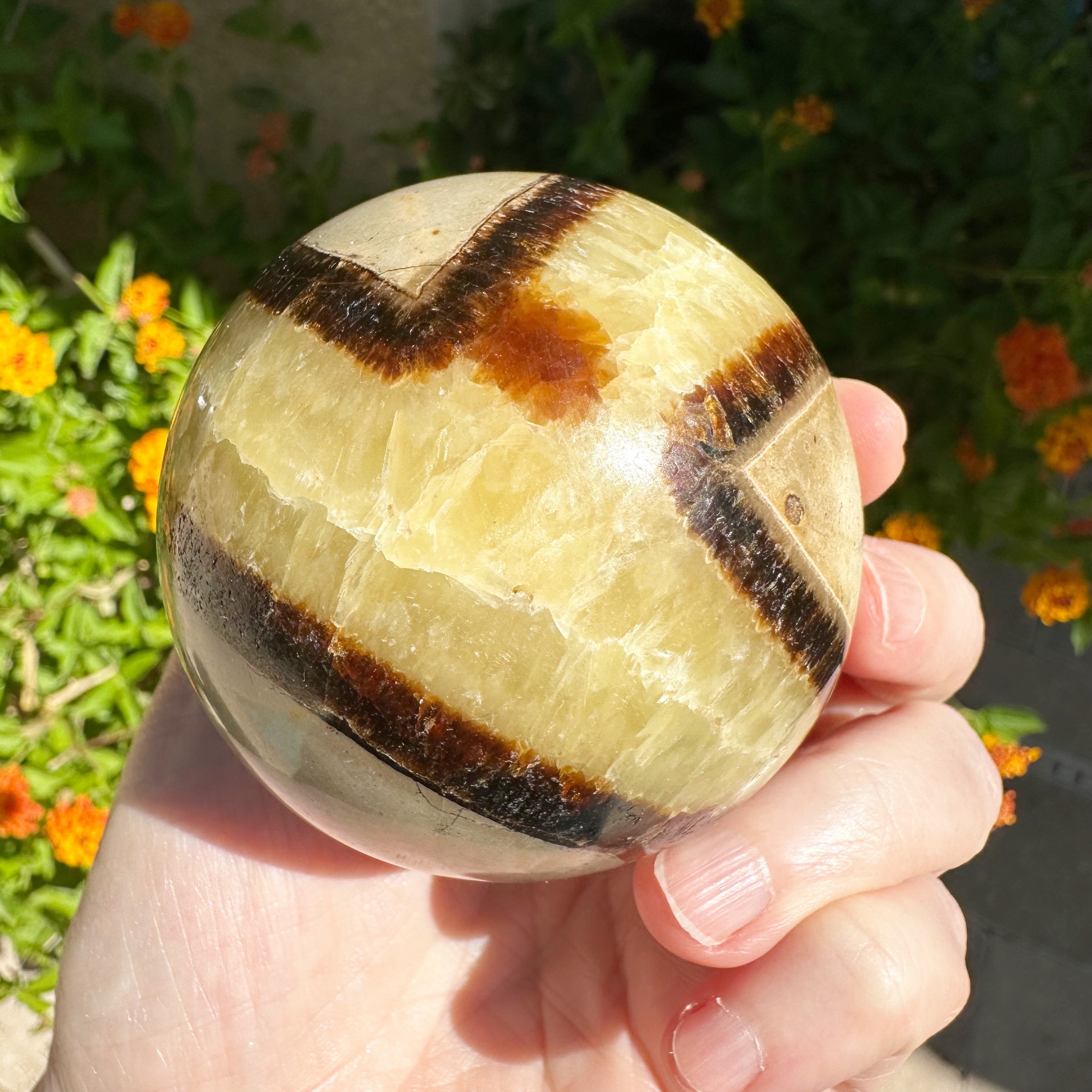 Large online Natural Stone Septarian Sphere