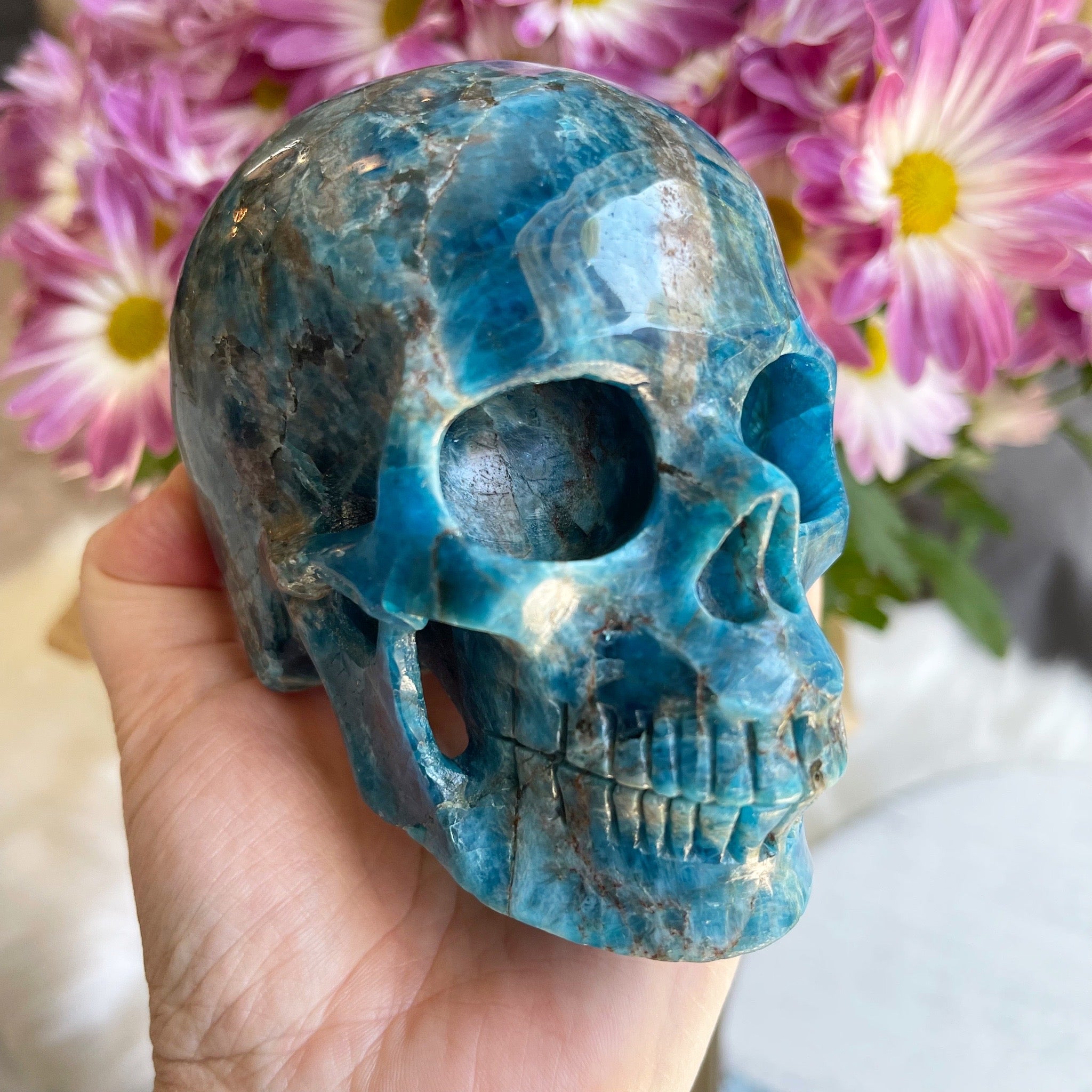 blue and purple skulls