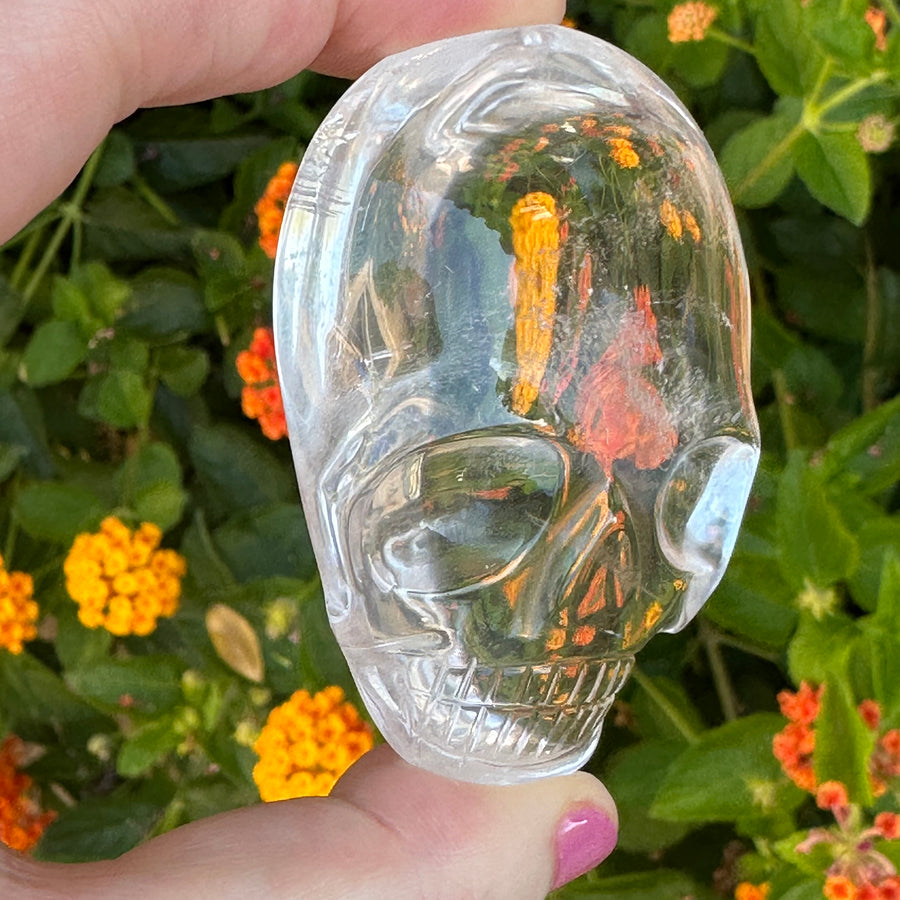 Clear Lemurian Quartz Palm Crystal Skull Carved by Leandro de Souza