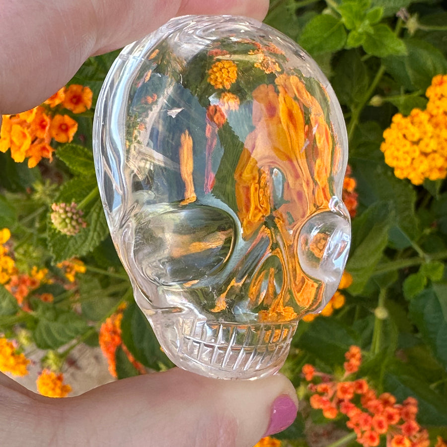 Clear Lemurian Quartz Palm Crystal Skull Carved by Leandro de Souza