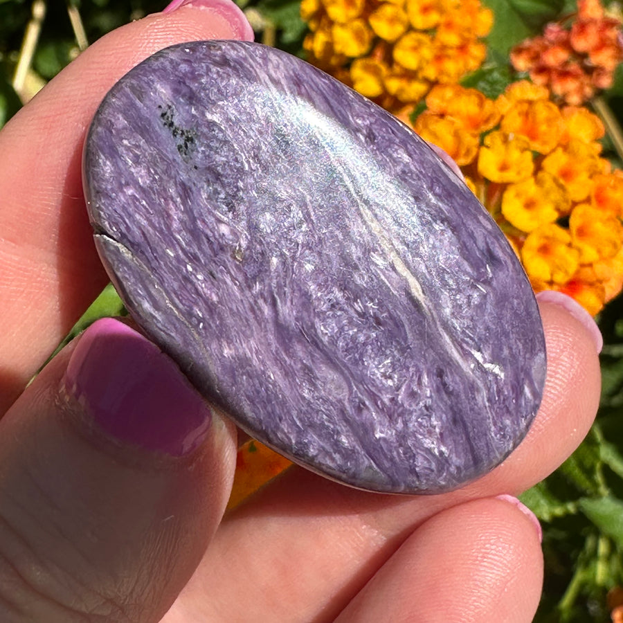 Charoite Crystal Palm Stone