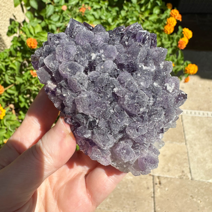 Amethyst Geode Raw Druzy Crystalized