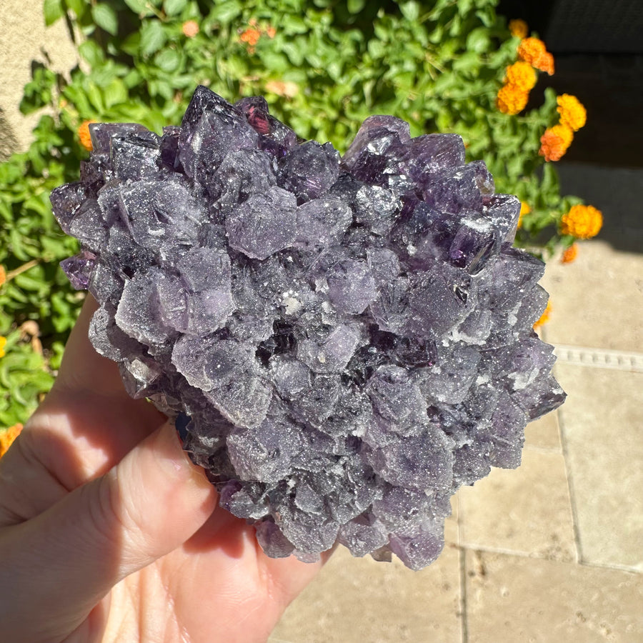 Amethyst Geode Raw Druzy Crystalized