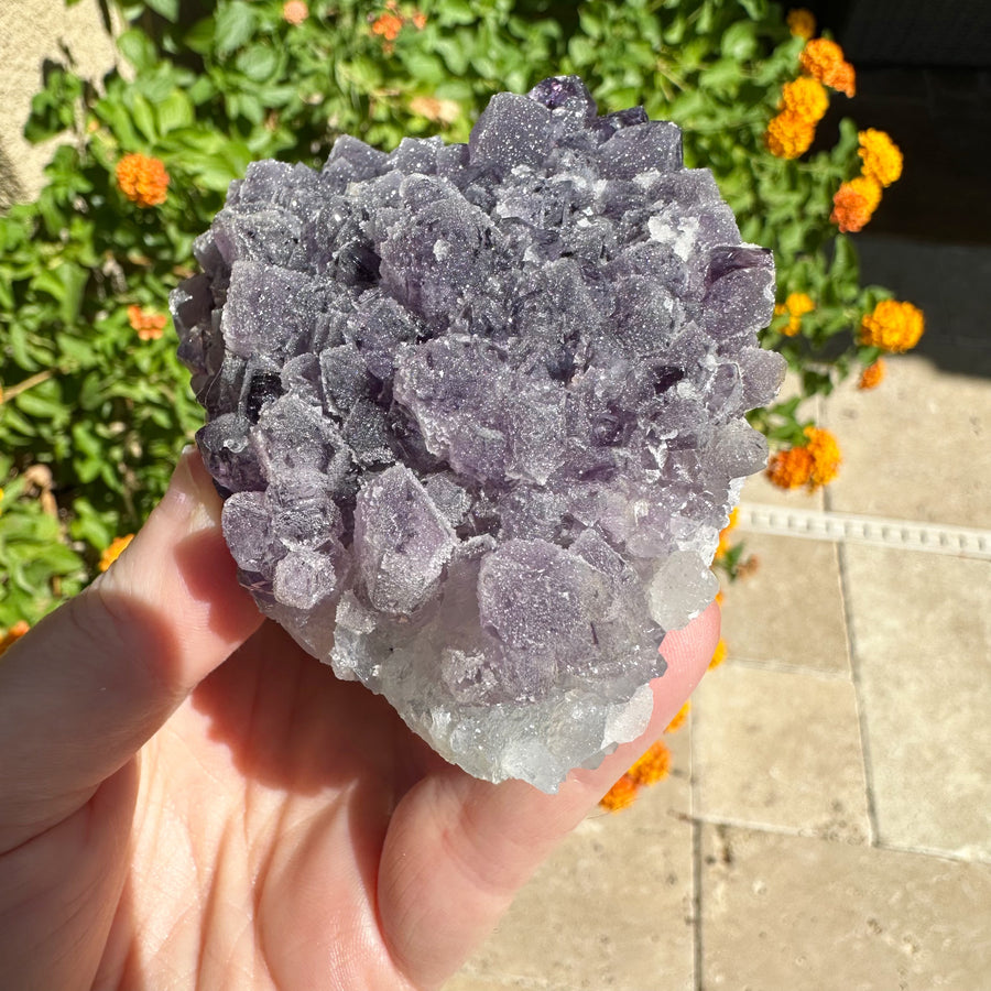 Amethyst Geode Raw Druzy Crystalized