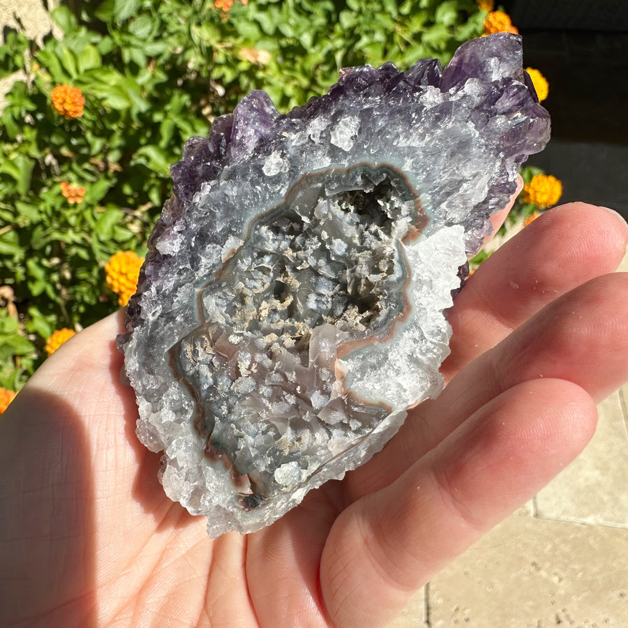 Amethyst Geode Raw Druzy Crystalized