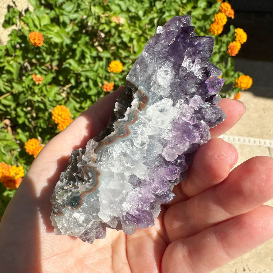 Amethyst Geode Raw Druzy Crystalized