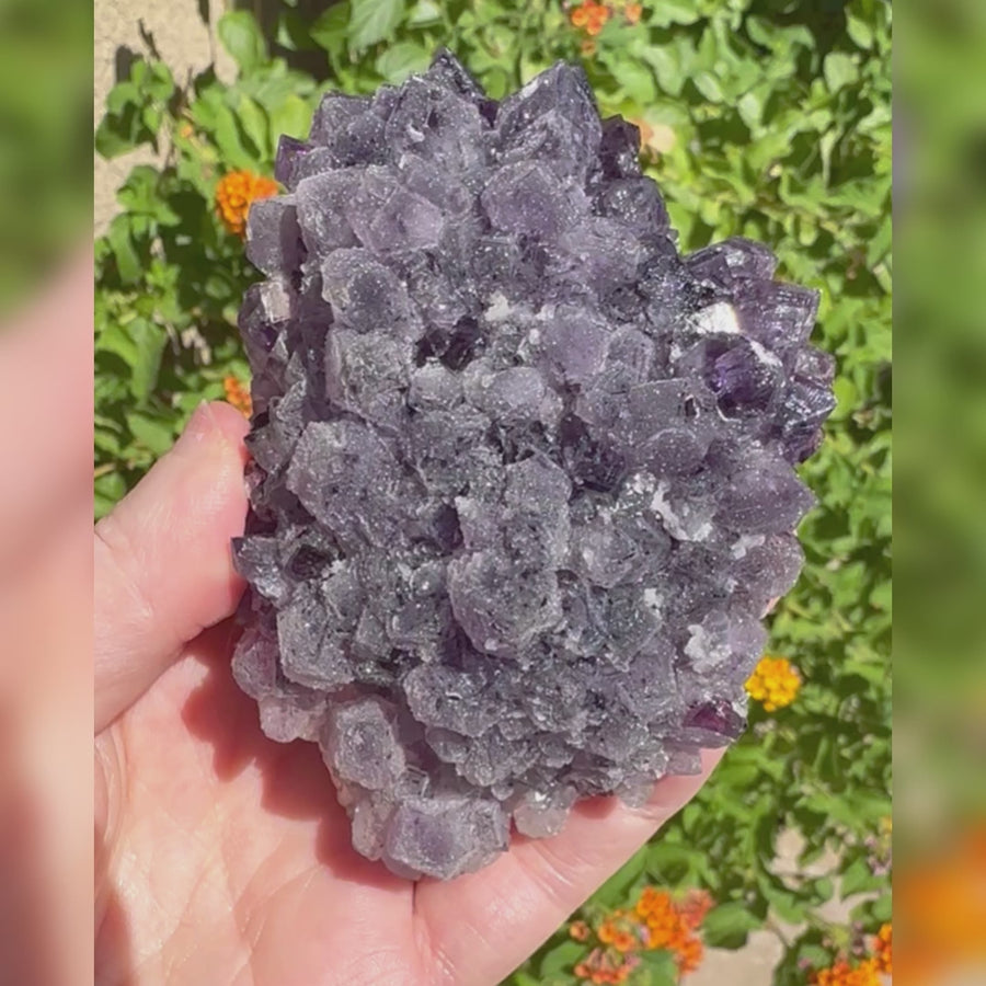 Amethyst Geode Raw Druzy Crystalized