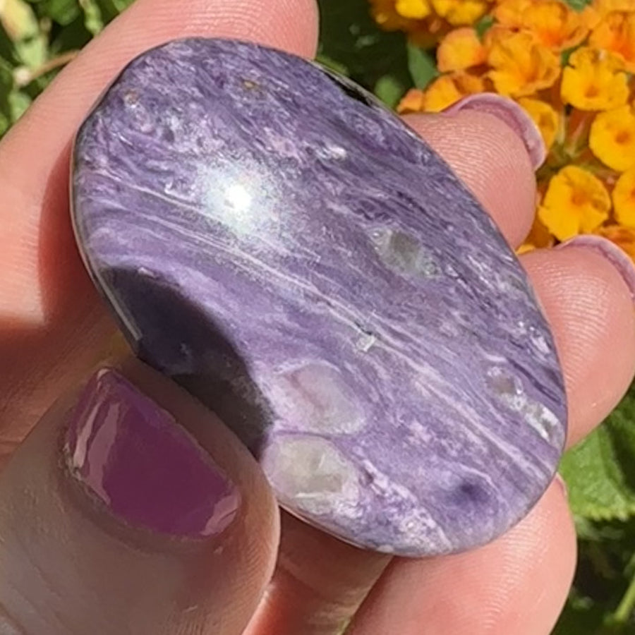 Charoite Crystal Palm Stone